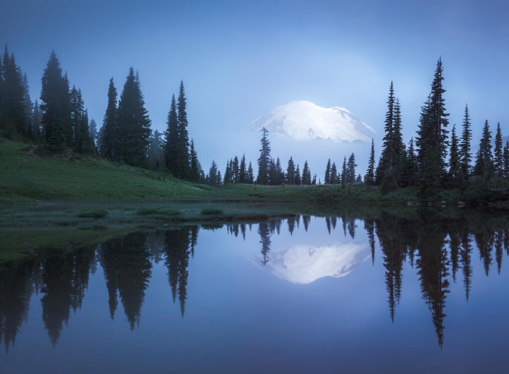 muted twilight horizon representing nervous system hypervigilance and emotional rest